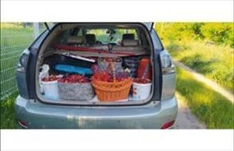 Kiadó Budapest XVII. kerületi egyéb telek hirdetés (46941563)