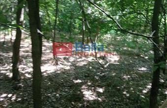 Eladó Dunaharaszti egyéb telek hirdetés (81255479)