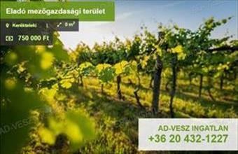 Eladó Kerékteleki egyéb mezőgazdasági ingatlan hirdetés (67492926)