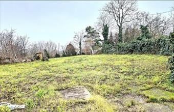 Eladó Tárnoki lakóövezeti telek hirdetés (47712639)