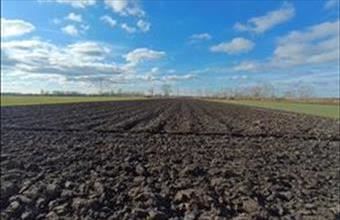 Eladó Délegyházai termőföld, szántó hirdetés (73647974)