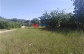 Eladó Dunaharaszti egyéb telek hirdetés (47339839)