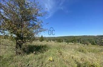 Eladó Domonyi üdülőövezeti telek hirdetés (35154737)