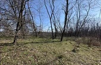 Eladó Domonyi üdülőövezeti telek hirdetés (49479529)