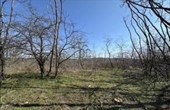 Eladó Domonyi üdülőövezeti telek hirdetés (42444365)