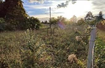 Eladó Pátyi külterületi telek hirdetés (15469233)