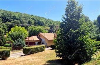 Eladó Miskolci családi ház hirdetés (23344767)