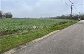 Eladó Lébényi külterületi telek hirdetés (55432978)