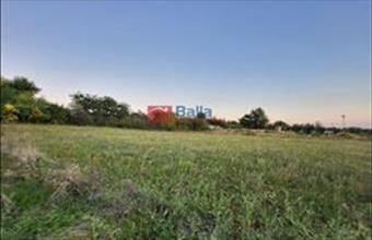 Eladó Budapest XVI. kerületi egyéb telek hirdetés (49354637)