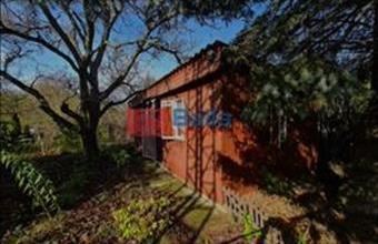 Eladó Nyáregyházai egyéb telek hirdetés (54343347)