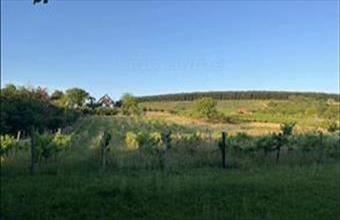 Eladó Balatonlellei zártkert hirdetés (38121243)