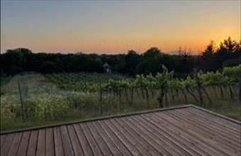 Eladó Balatonlellei zártkert hirdetés (38121243)