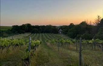 Eladó Balatonlellei zártkert hirdetés (38121243)