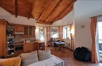 Eladó Telki családi ház hirdetés (74427253)