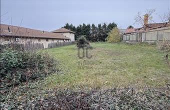 Eladó Maglódi lakóövezeti telek hirdetés (79953333)