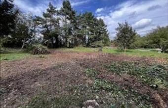 Eladó Oroszlányi egyéb telek hirdetés (98253629)