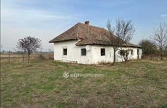 Eladó Szentesi tanya hirdetés (94922729)