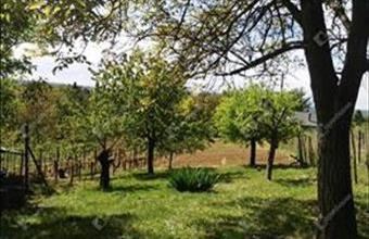 Eladó Zalaegerszegi üdülőövezeti telek hirdetés (59654454)