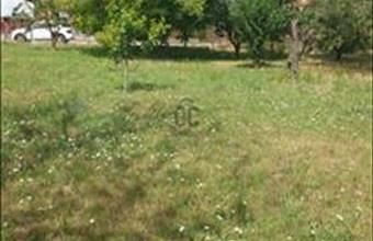 Eladó Pilisi lakóövezeti telek hirdetés (54735759)