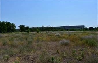 Eladó Gyáli külterületi telek hirdetés (76974363)