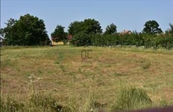 Eladó Újlengyeli lakóövezeti telek hirdetés (36265795)