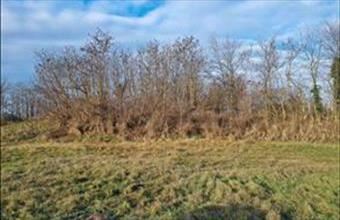 Kiadó Siófoki termőföld, szántó hirdetés (51727726)