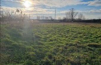 Kiadó Siófoki termőföld, szántó hirdetés (62373946)