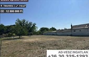 Eladó Táborfalvai lakóövezeti telek hirdetés (89437433)