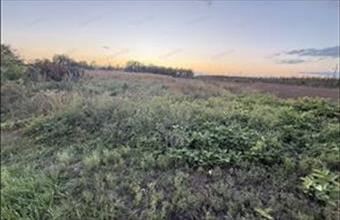 Eladó Geszterédi tanya hirdetés (41245721)