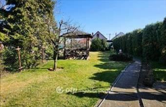 Eladó Felsőpakonyi családi ház hirdetés (59754851)