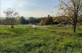 Eladó Kajászói lakóövezeti telek hirdetés (19347624)