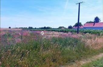 Eladó Besnyői lakóövezeti telek hirdetés (47674823)