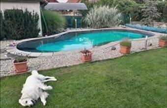 Eladó Vecsési családi ház hirdetés (48794833)