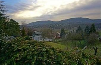 Eladó Ürömi ikerház hirdetés (53591448)