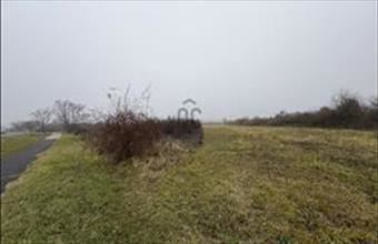 Eladó Balatonakali egyéb mezőgazdasági ingatlan hirdetés (31933848)