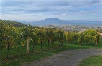 Eladó Gyulakeszi egyéb mezőgazdasági ingatlan hirdetés (94479647)