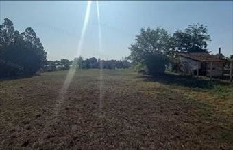 Eladó Tiszajenői lakóövezeti telek hirdetés (32648949)