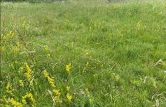 Eladó Kópházai lakóövezeti telek hirdetés (55334563)