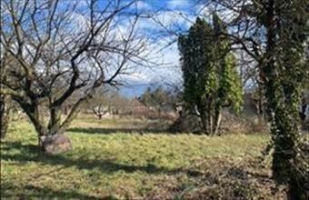 Eladó Szombathelyi egyéb mezőgazdasági ingatlan hirdetés (35524533)