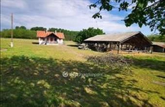 Eladó Örkényi egyéb mezőgazdasági ingatlan hirdetés (12289952)