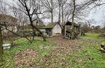 Eladó Nyírteleki tanya hirdetés (81362999)