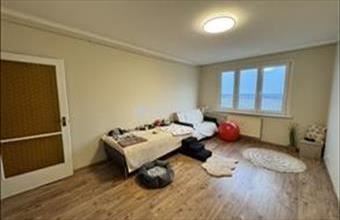 Eladó Budapest XV. kerületi panel lakás hirdetés (87749752)