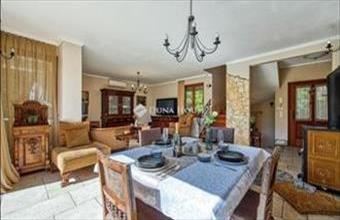 Eladó Szentendrei családi ház hirdetés (42394957)