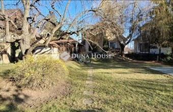 Eladó Szentendrei családi ház hirdetés (34377939)