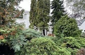 Eladó Budapest III. kerületi családi ház hirdetés (41534364)