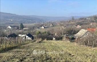 Eladó Szekszárdi lakóövezeti telek hirdetés (34753563)