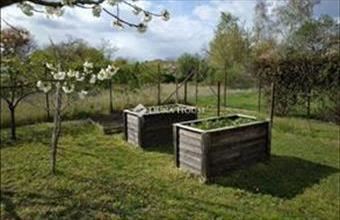 Eladó Szegedi családi ház hirdetés (43997679)