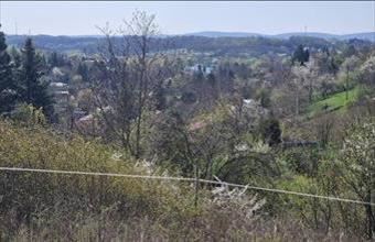 Eladó Pogányi egyéb telek hirdetés (77574384)