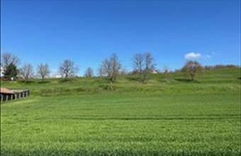 Eladó Magyarszéki egyéb telek hirdetés (71947336)