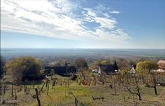 Eladó Harkányi családi ház hirdetés (14759225)